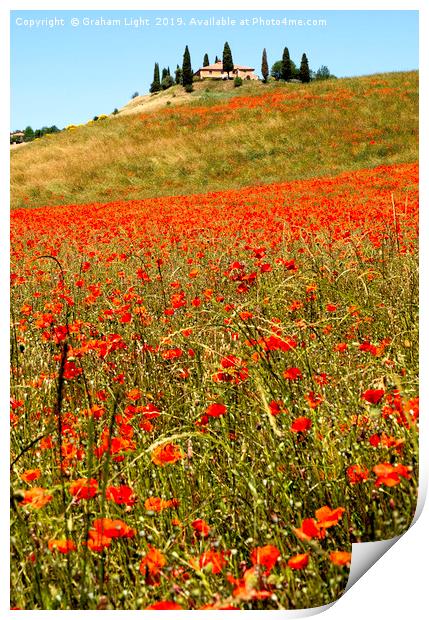 Poppy fields, Tuscany Print by Graham Light