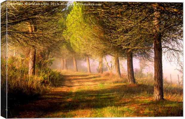 Misty morning in Tuscany Canvas Print by Graham Light