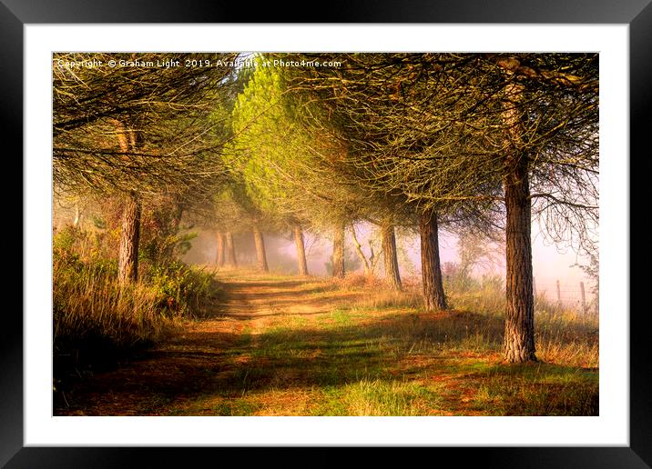 Misty morning in Tuscany Framed Mounted Print by Graham Light