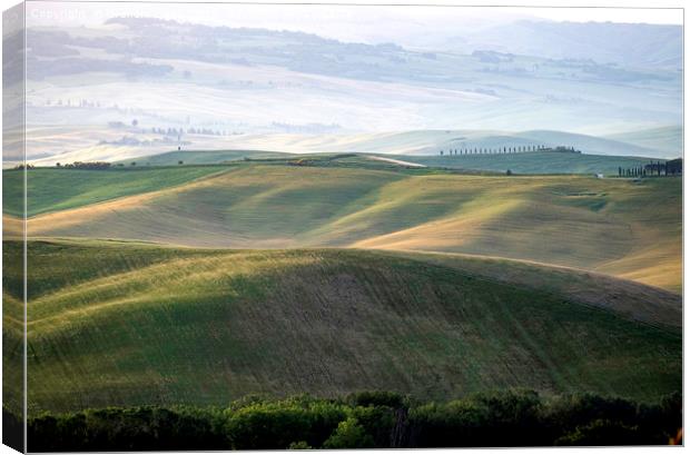 Early morning light on the rolling hills of Tuscan Canvas Print by Graham Light