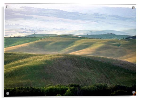 Early morning light on the rolling hills of Tuscan Acrylic by Graham Light