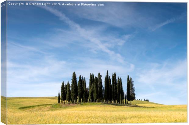 Cypress Circle, Val d'Orcia, Tuscany Canvas Print by Graham Light