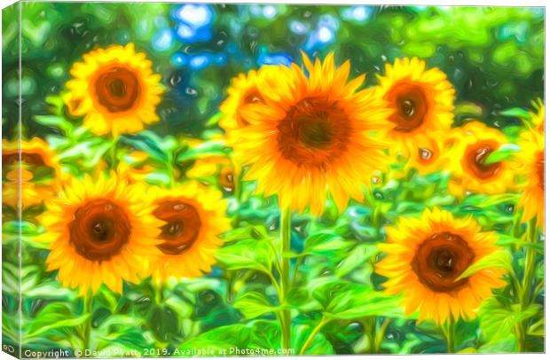 Dreams Of Sunflowers  Canvas Print by David Pyatt