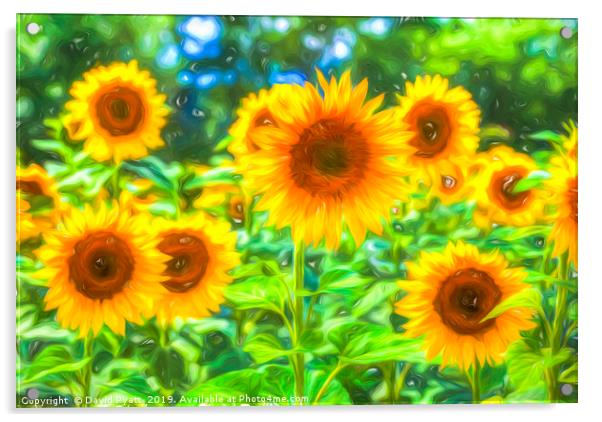 Dreams Of Sunflowers  Acrylic by David Pyatt