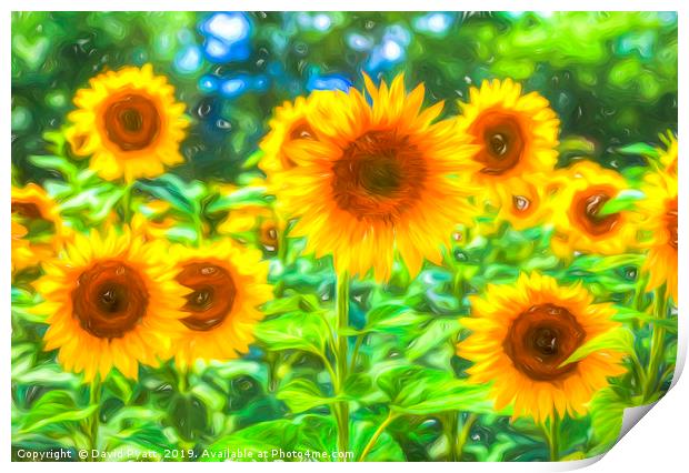 Dreams Of Sunflowers  Print by David Pyatt