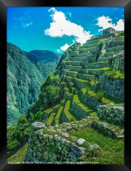 Terraces of Macchu Pichu City Framed Print by Daniel Ferreira-Leite
