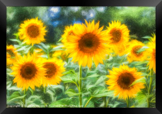 Art Of The Sunflower Turner Framed Print by David Pyatt