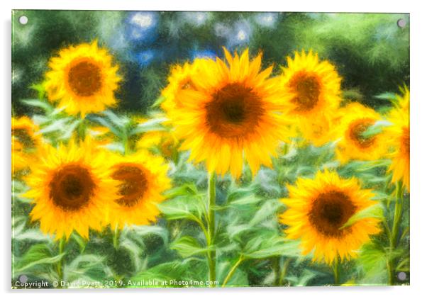 Art Of The Sunflower Turner Acrylic by David Pyatt