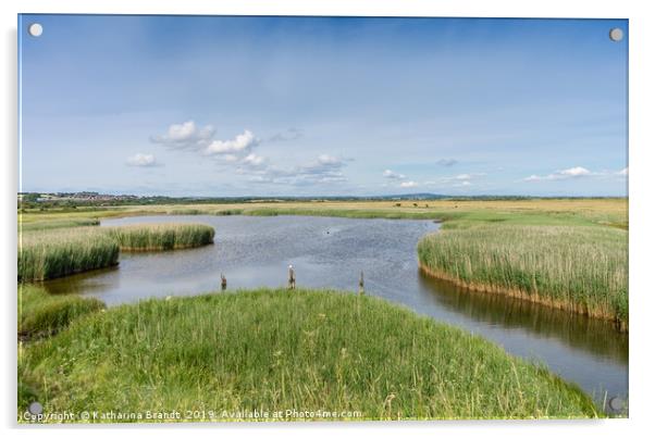 Farlington Marshes Acrylic by KB Photo
