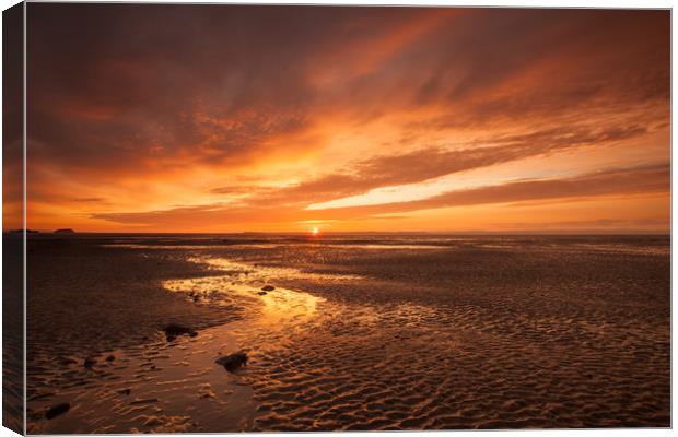 Beautiful golden glow sunset on the Somerset coast Canvas Print by Tony Twyman