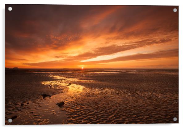 Beautiful golden glow sunset on the Somerset coast Acrylic by Tony Twyman
