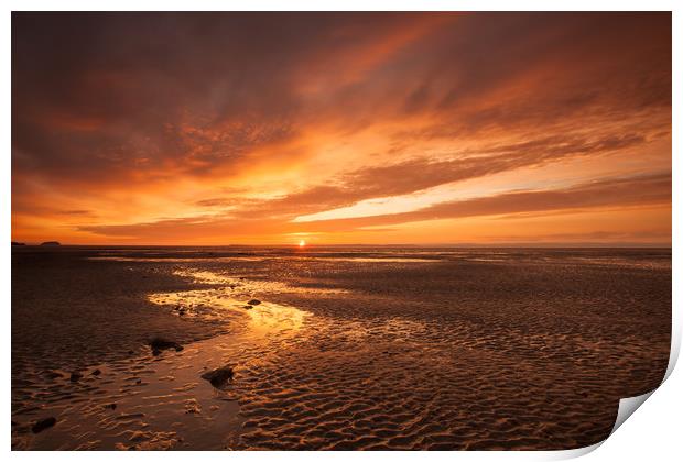Beautiful golden glow sunset on the Somerset coast Print by Tony Twyman