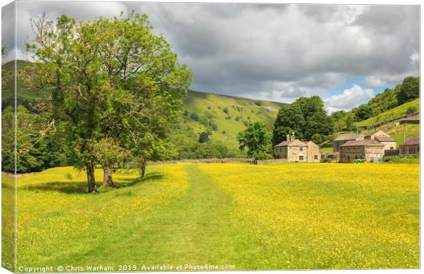 Muker Swaledale  buttercup meadows Canvas Print by Chris Warham