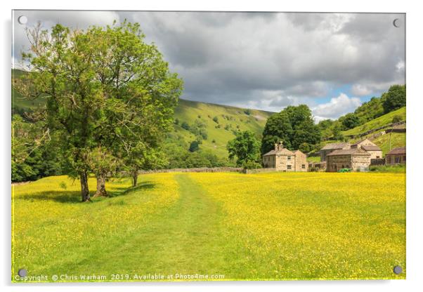 Muker Swaledale  buttercup meadows Acrylic by Chris Warham