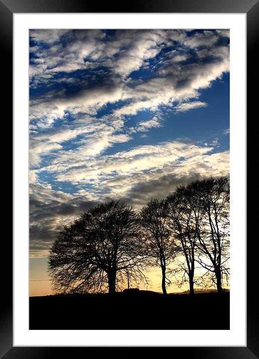 Trees and Sky Framed Mounted Print by Gavin Liddle