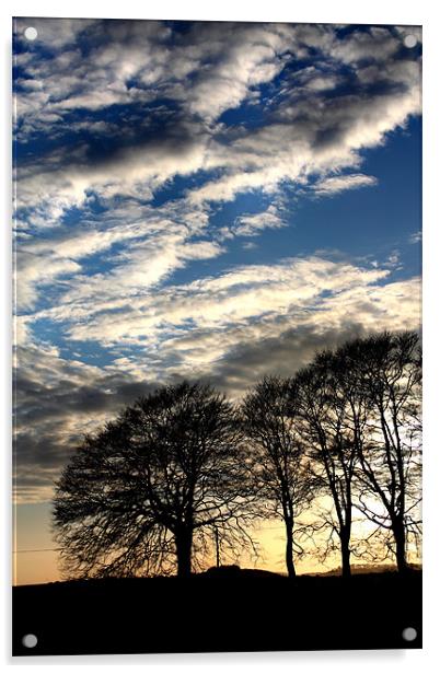 Trees and Sky Acrylic by Gavin Liddle