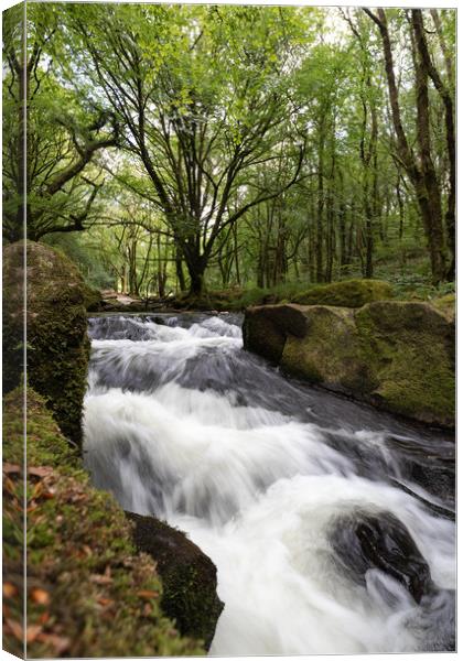 Golitha Falls in Draynes wood Bodmin Moor Canvas Print by Jim Peters