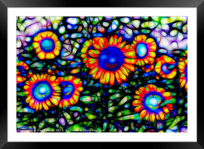 Stained Glass Sunflowers  Framed Mounted Print by David Pyatt