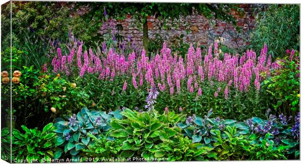 Summer Flower Border Canvas Print by Martyn Arnold