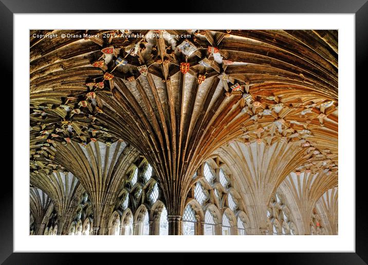 Canterbury Cathedral Cloisters Framed Mounted Print by Diana Mower