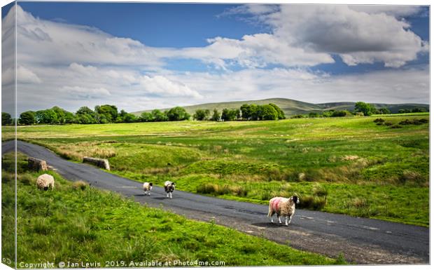 The Road To Caldbeck Canvas Print by Ian Lewis