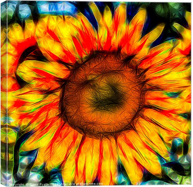 Single Sunflower Art Canvas Print by David Pyatt