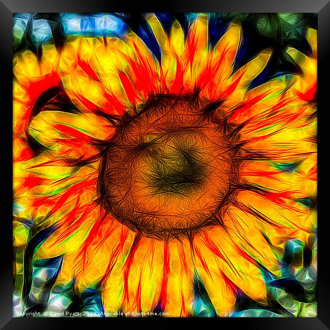 Single Sunflower Art Framed Print by David Pyatt