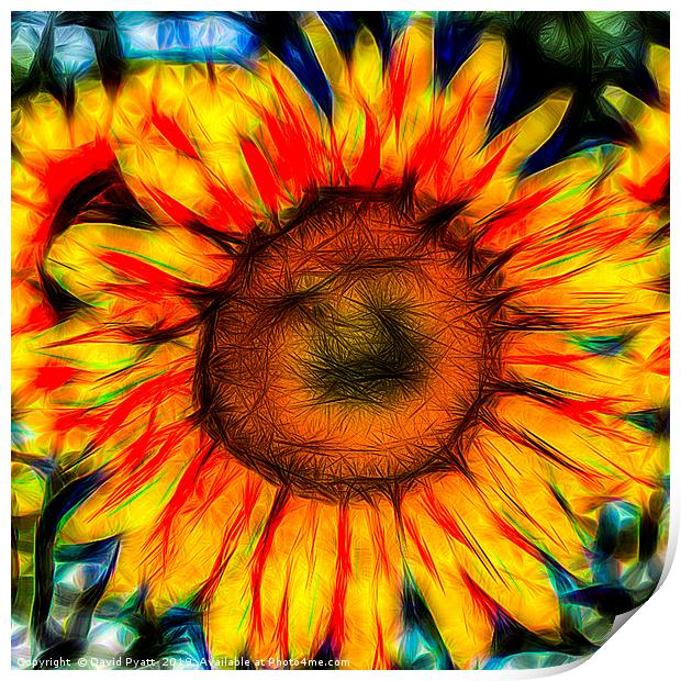 Single Sunflower Art Print by David Pyatt