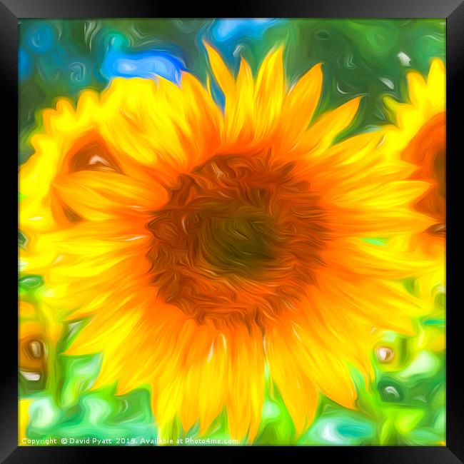 Pastel Sunflower Art Framed Print by David Pyatt