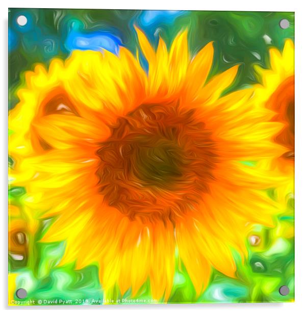 Pastel Sunflower Art Acrylic by David Pyatt