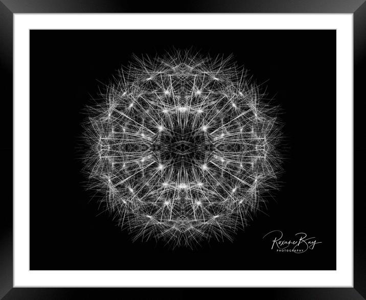 Dandelion Seeds Framed Mounted Print by Roxane Bay
