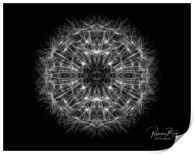 Dandelion Seeds Print by Roxane Bay