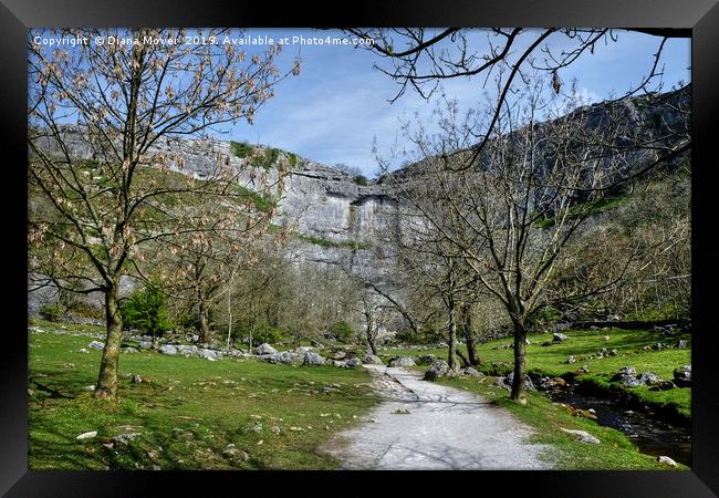 The Walk to Malham Cove Framed Print by Diana Mower