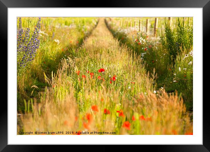 Converging tracks in a flower meadow Framed Mounted Print by Simon Bratt LRPS