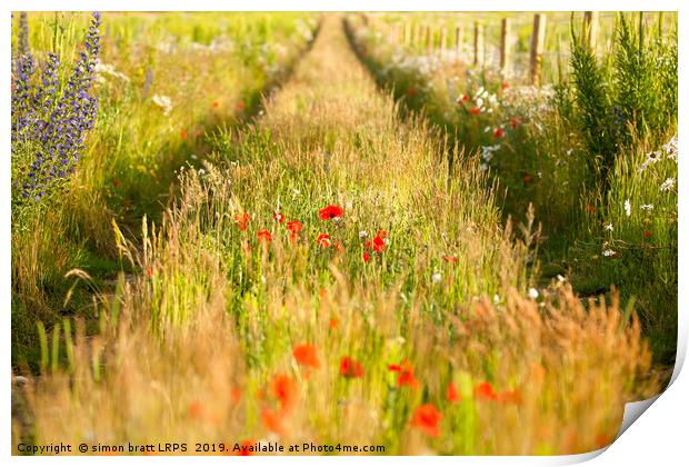 Converging tracks in a flower meadow Print by Simon Bratt LRPS