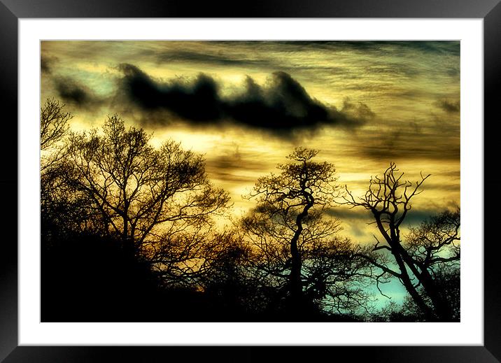 Daybreak Framed Mounted Print by Chris Manfield