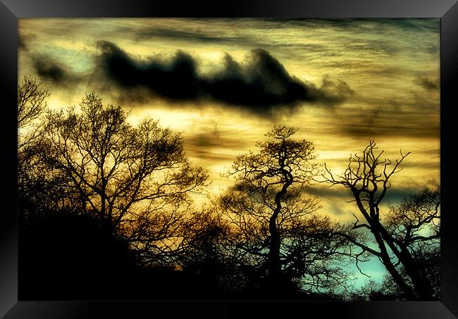 Daybreak Framed Print by Chris Manfield