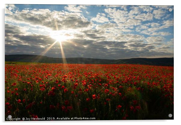 Early Morning Sun over Field of Poppies Acrylic by Joy Newbould