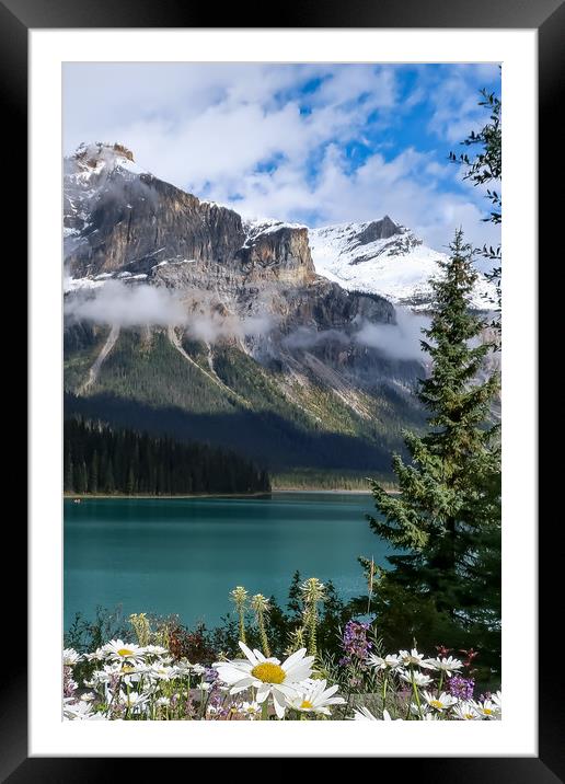 Emerald Lake, Alberta Framed Mounted Print by Brenda Belcher