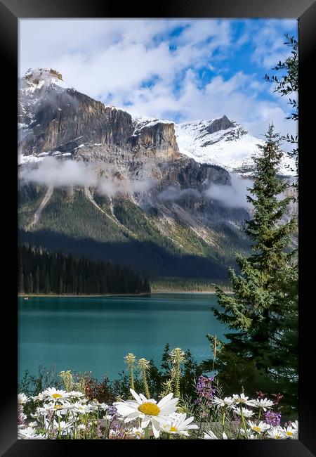 Emerald Lake, Alberta Framed Print by Brenda Belcher