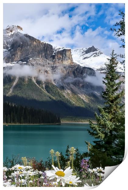 Emerald Lake, Alberta Print by Brenda Belcher