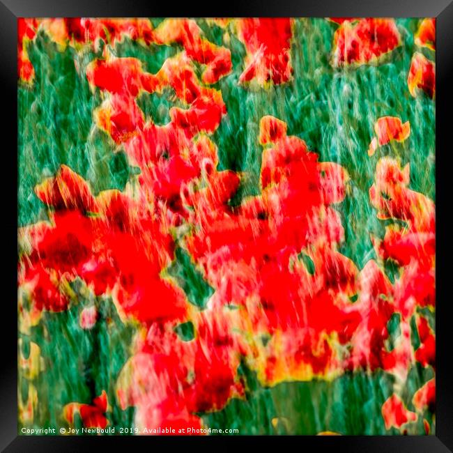 Poppies - Digital Art  Framed Print by Joy Newbould