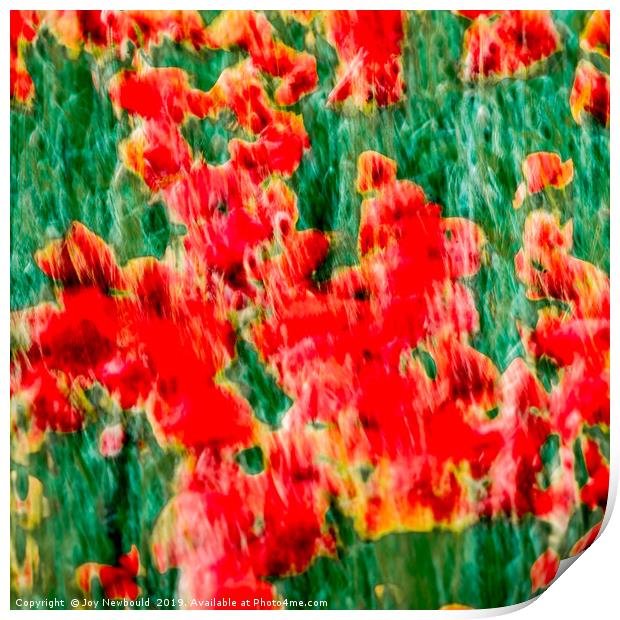 Poppies - Digital Art  Print by Joy Newbould