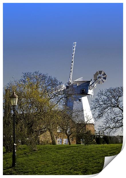 Windmill Baker Street  Orsett Thurrock Essex Print by David French
