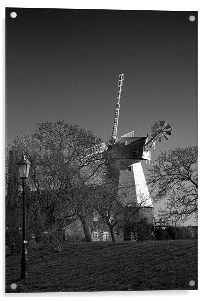 Windmill Baker Street  Orsett Thurrock Essex BW Acrylic by David French