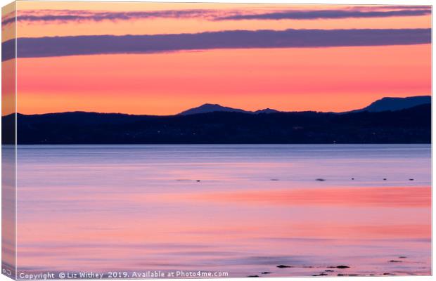 Sunset, Morecambe Bay Canvas Print by Liz Withey