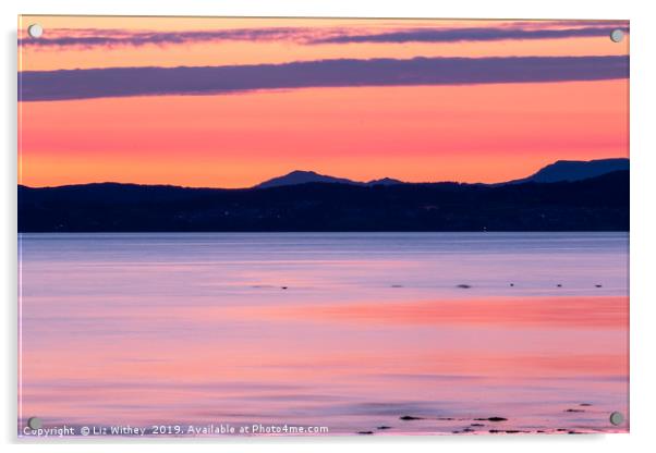 Sunset, Morecambe Bay Acrylic by Liz Withey