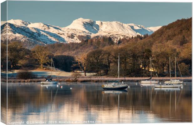 Winter Morning, Waterhead Canvas Print by Liz Withey