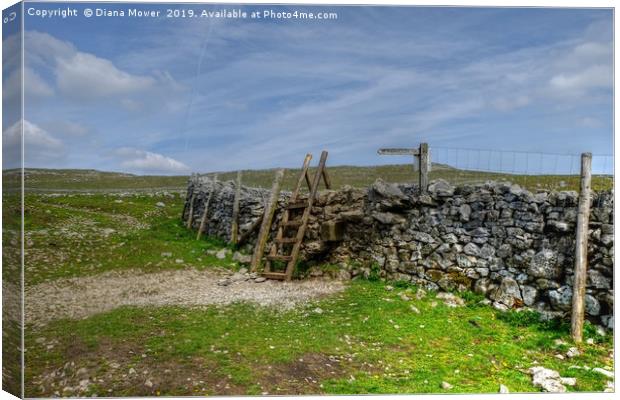 Footpath to Malham Cove  Canvas Print by Diana Mower
