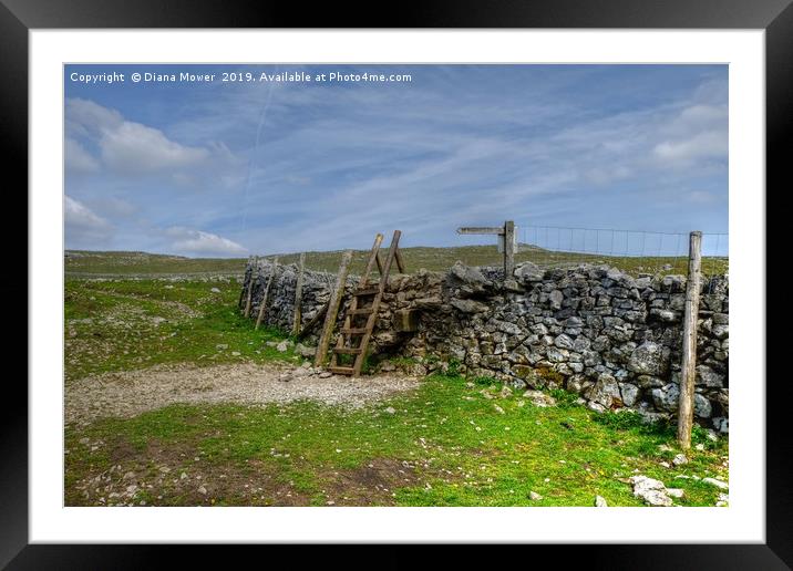 Footpath to Malham Cove  Framed Mounted Print by Diana Mower